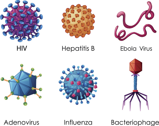 Six types of viruses on white background