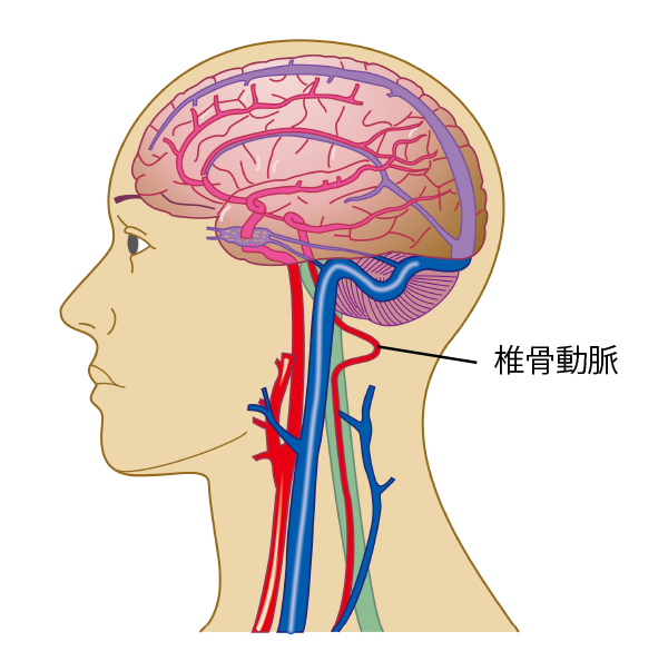 めまいは何科 不得意な病院を避け 適切な治療を受けるための全知識 転ばぬ先の杖