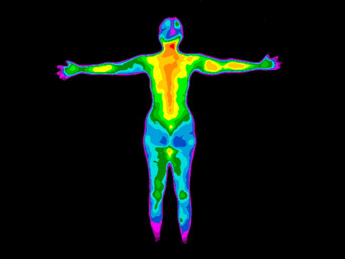 Thermography Whole Body Back