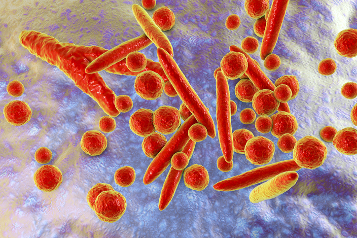 Mycoplasma bacteria, illustration
