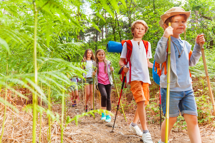 Kids walk with hiking poles among fern