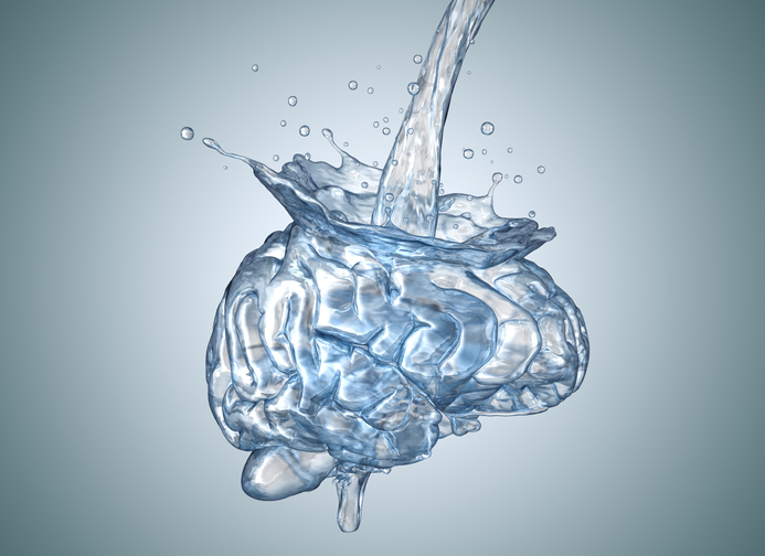 The brain is filled with water