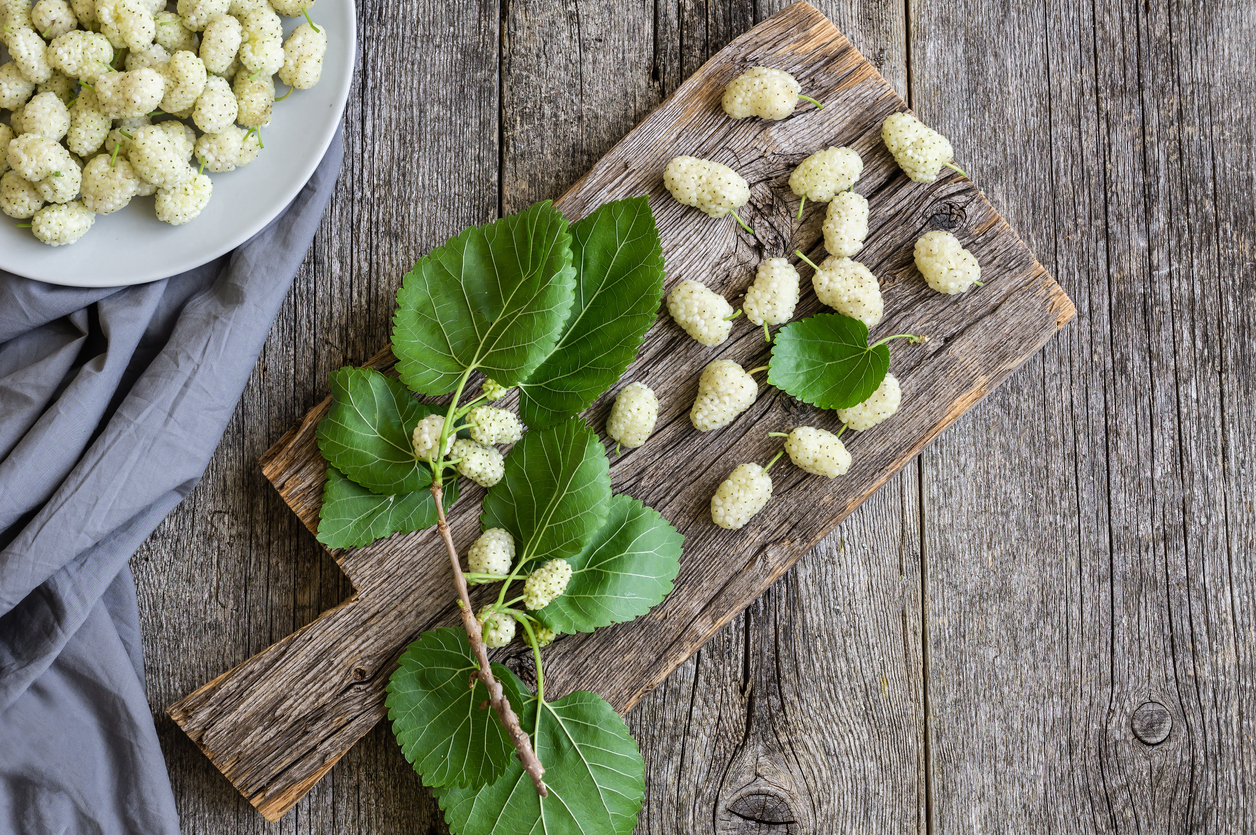 Fresh white mulberries in plate with branch on wooden background, summer fruit concept