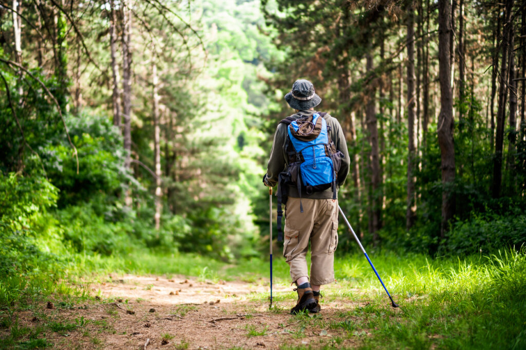 じっとしていることが苦手な人にトレッキングポールを使った歩行瞑想の薦め